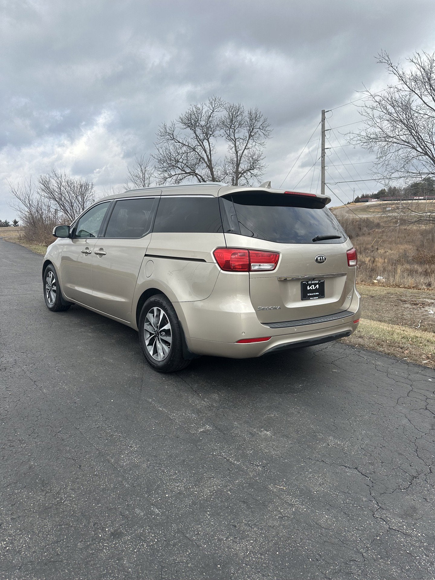 2015 Kia Sedona SX