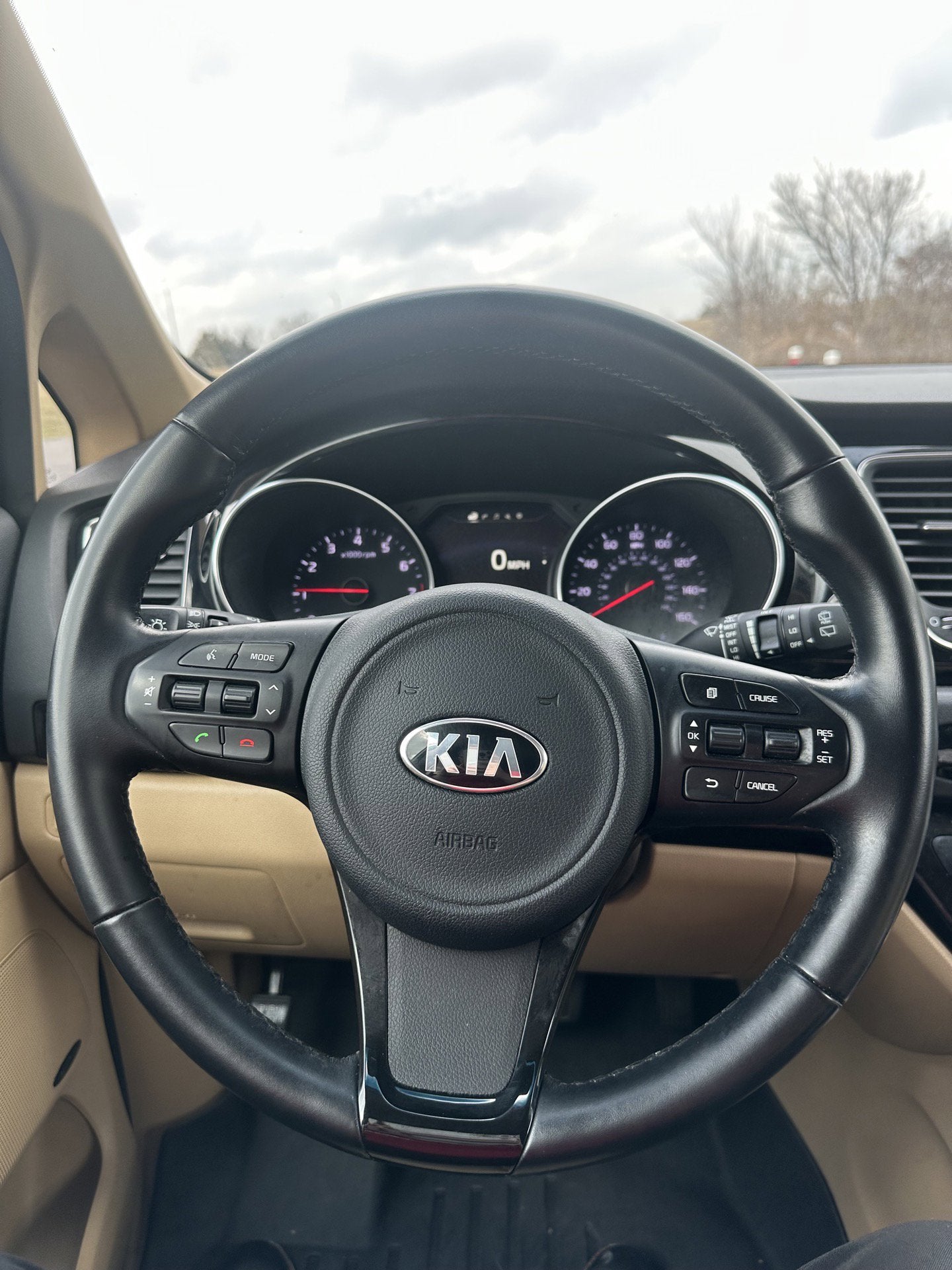 2015 Kia Sedona SX